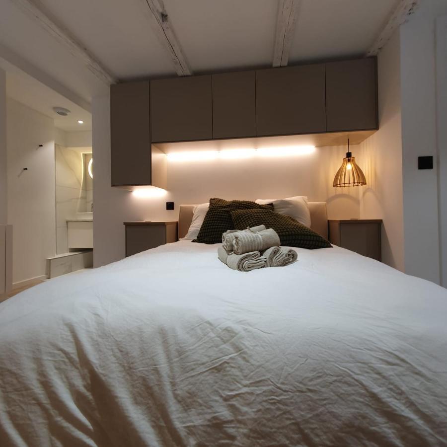 Les Appartements Hyper Centre Štrasburk Exteriér fotografie