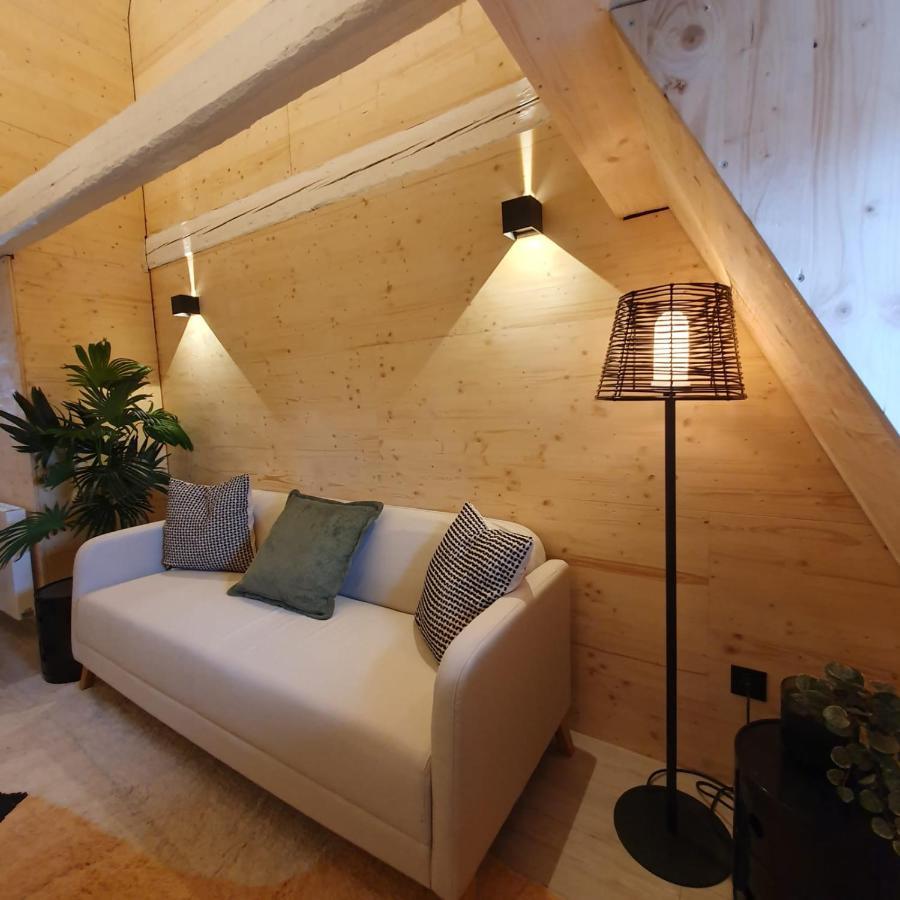 Les Appartements Hyper Centre Štrasburk Exteriér fotografie