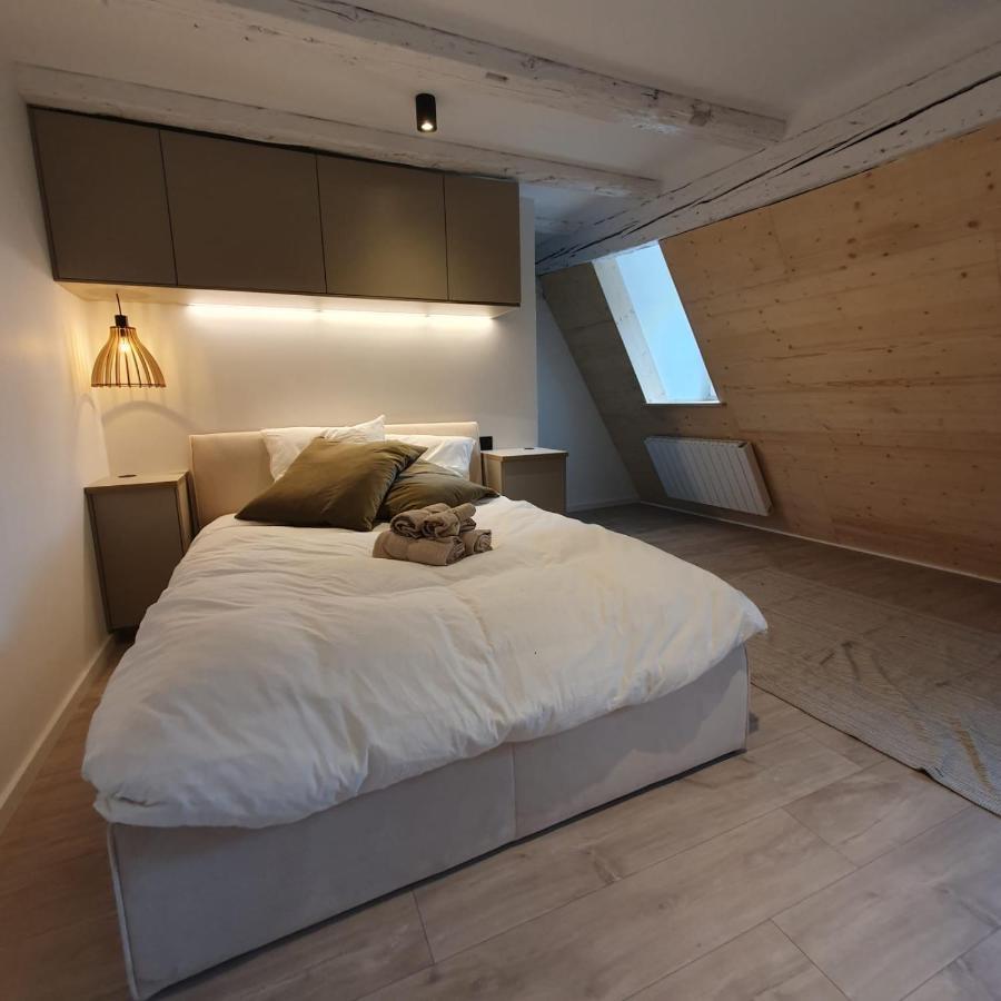 Les Appartements Hyper Centre Štrasburk Exteriér fotografie