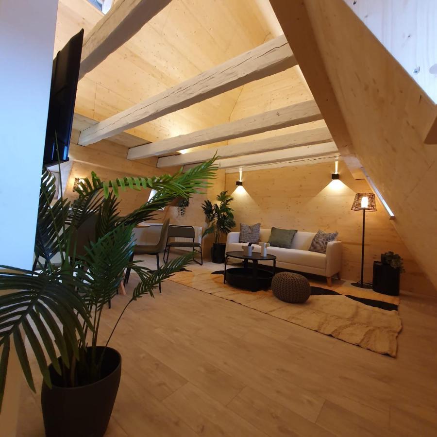 Les Appartements Hyper Centre Štrasburk Exteriér fotografie